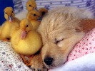 d-night-227120.jpg