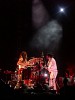 the-white-stripes-246421.jpg