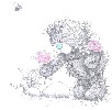 dj-lhasa-211886.jpg
