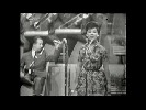 edita-staubertova-218427.jpg