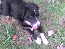 k-tonio-228345.jpg
