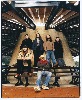 a-band-of-bees-198280.jpg