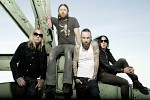 backyard-babies-245357.jpg