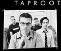 taproot-44259.jpg