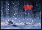rain-273782.jpg