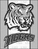 tiger-team-61307.jpeg