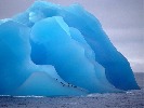 cold-267887.jpg