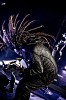 korn-439101.jpg