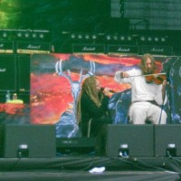 MF 2013
