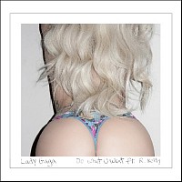 Do What U Want Cover