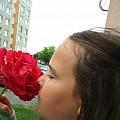 marcel8593