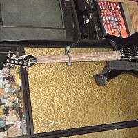 niama-831844.jpg